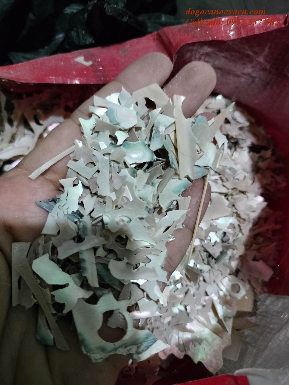 ỐC XÀ CỪ VỤN